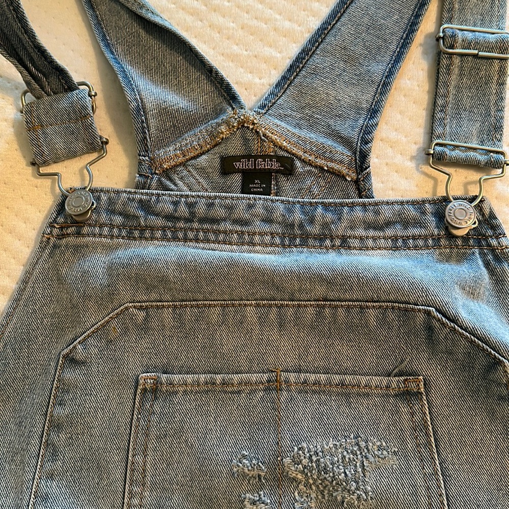 Wild fable distressed overalls